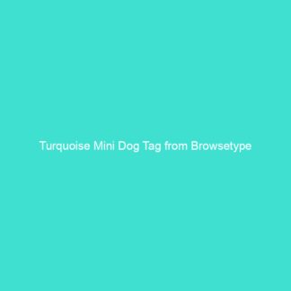 Turquoise Mini Dog Tag from Browsetype