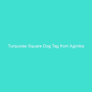 Turquoise Square Dog Tag from Agimba